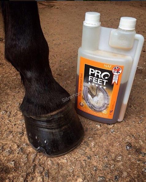 Pro Feet liquid pro zdravá kopyta s biotinem, láhev s dávkovačem 1000 ml