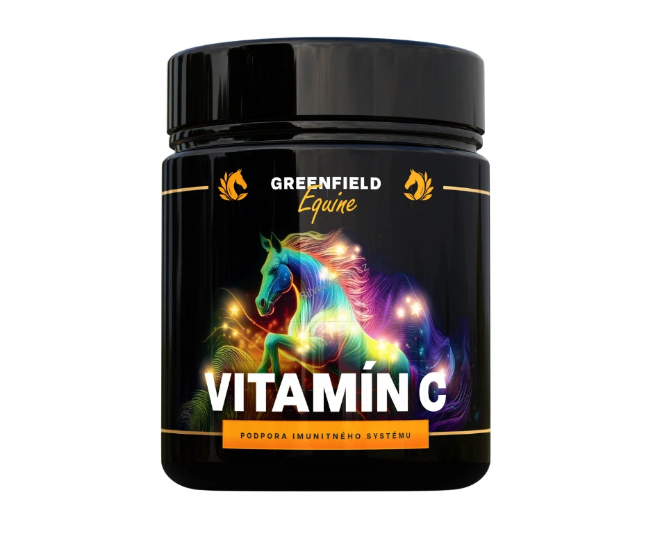 Vitamin C 100% v prášku 1 kg- 1 ks