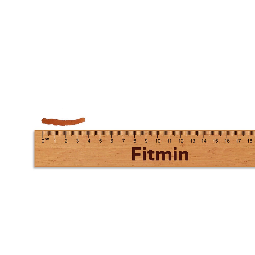Fitmin For Life Jerky lososová pochoutka pro psy a kočky 70 g