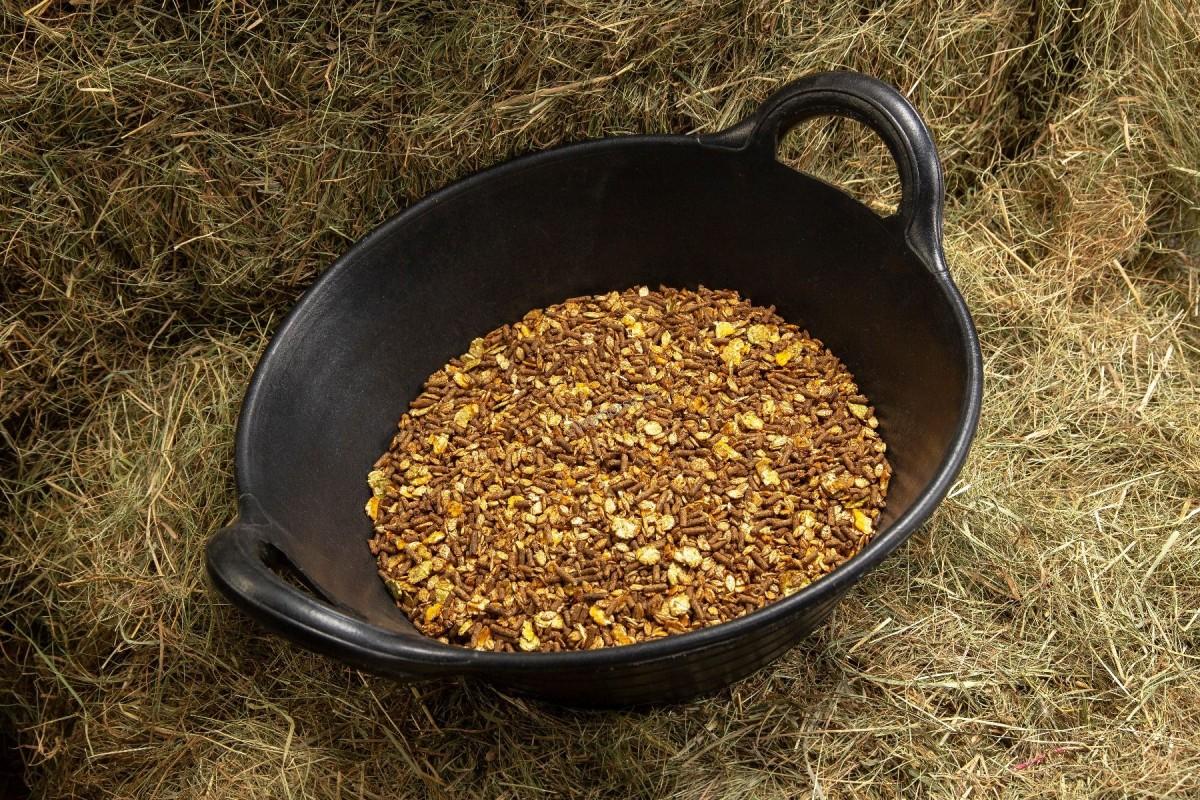 Spillers senior conditioning mix 20kg