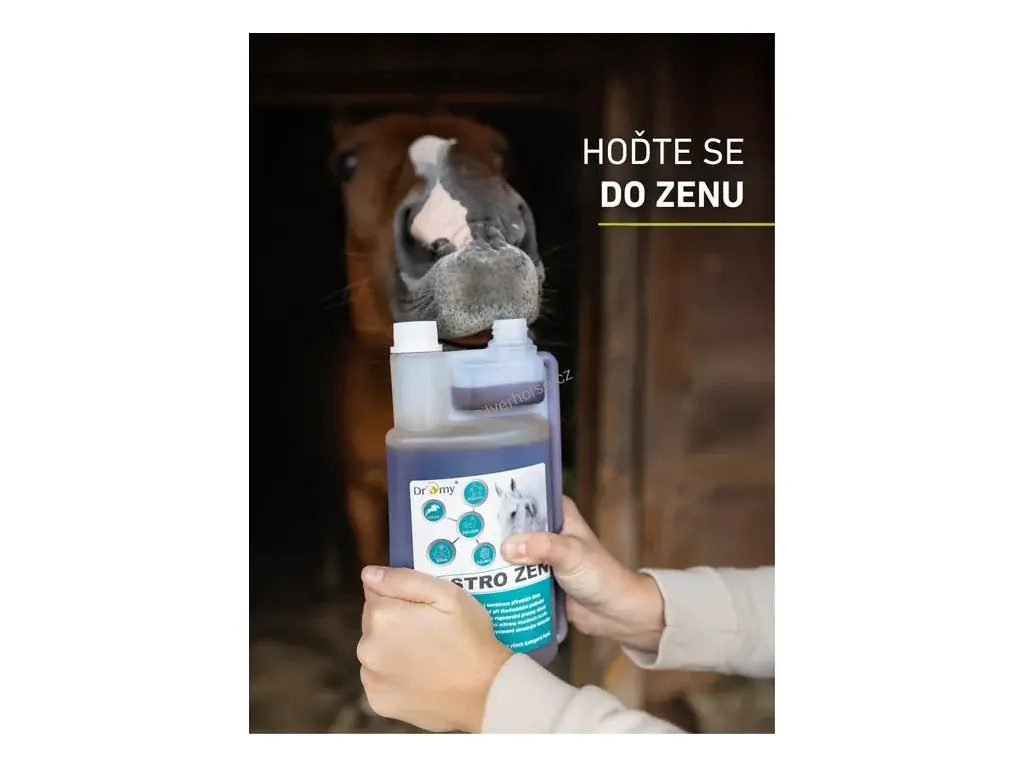 Dromy Gastro Zen 1 l