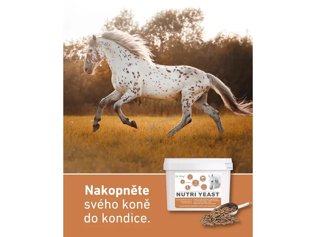 Dromy Nutri Yeast 6 kg