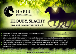 Habibi - KLOUBY, ŠLACHY, ZDRAVÉ POJIVOVÉ TKÁNĚ - 3kg