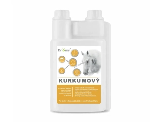 Dromy Kurkumový sirup 1 l