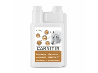 Dromy L-Carnitin 1 l