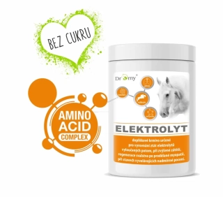 Dromy Elektro-Aminolyt 1 kg