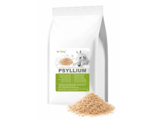 Dromy Psyllium vláknina 1 kg