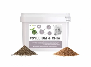 Dromy Psyllium + chia 3 kg