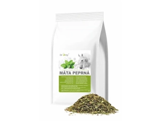 Dromy Máta peprná list 1 kg