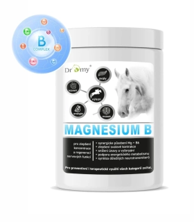 Dromy Magnesium B Balení 1 kg - 100 denních dávek.