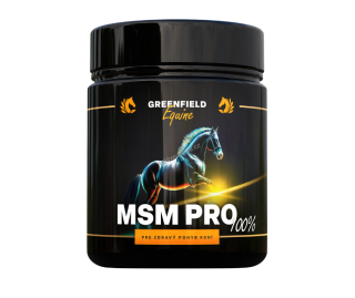 MSM PRO 100% v prášku 1 kg