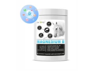 Dromy-Magnesium B - 300 denních dávek